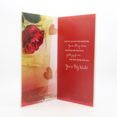 I am so in love with you | Love  Greeting Card